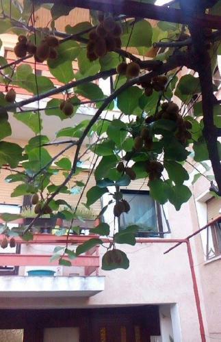 Hostal Julija Guest House