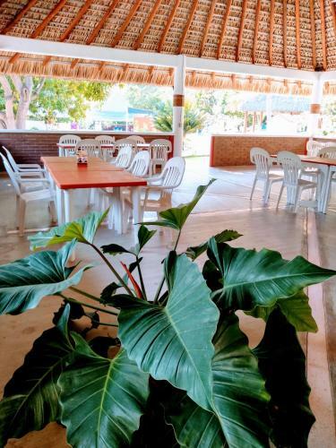 Hotel Y Club Campestre Altos Paraiso