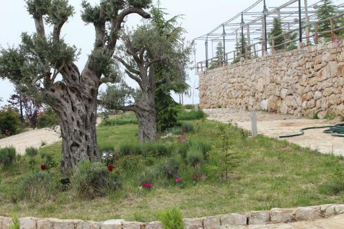 Hostal Ch�teau Sainte-andr�e