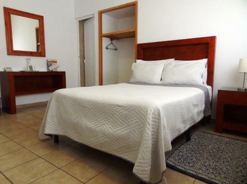 Hotel San Miguel Penjamo