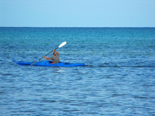 Costa De Cocos