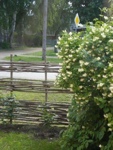 Hostal Guest House V?toli