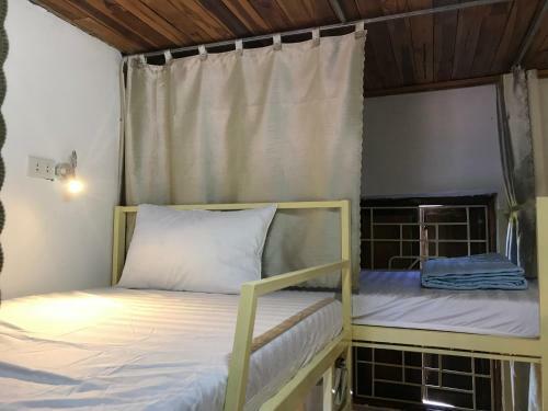 Friendly Backpacker Hostel