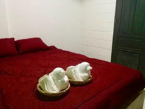 Albergue Lao Huk Bed And Cafe