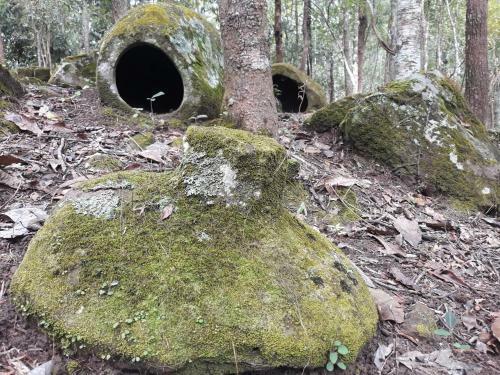 Site 52 - Ban Pakeo & Home Stay ( Full Board)