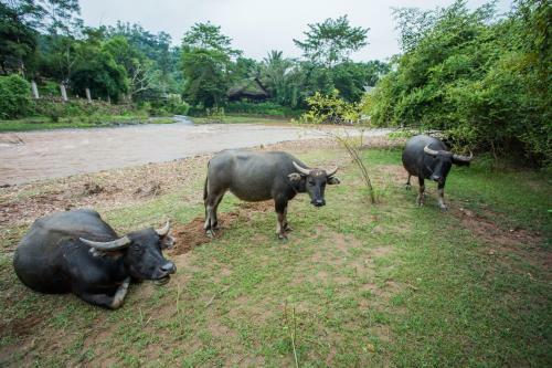 Muang La Lodge