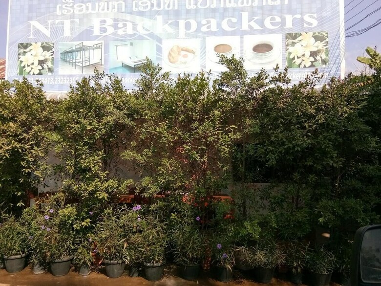 Albergue Nt Backpackers