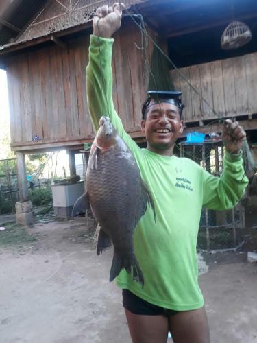 Hostal Champa Mekong Bungalows