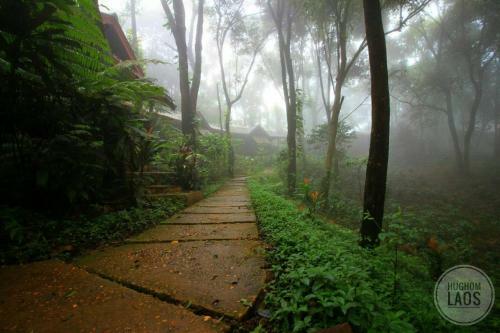 Hotel Tad Fane Resort