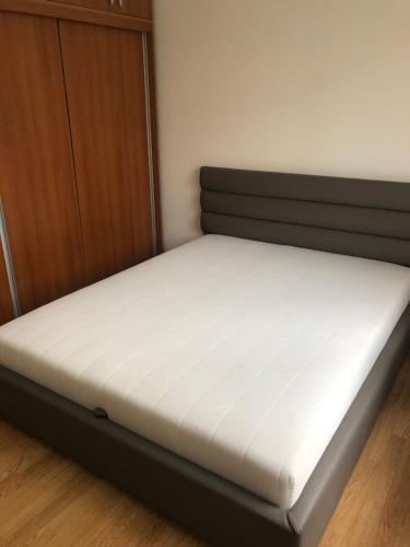 Luxury Apartment.