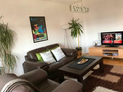 Orion Apartment