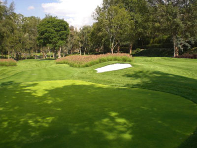Hotel Real Del Bosque Golf And Spa
