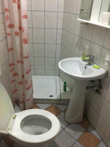 Hostal Bujtina (pension) Oltas