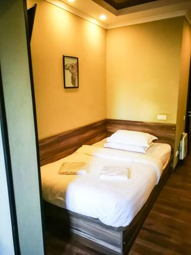 Hotel Salut