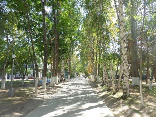 Hostal Guest House At Do Altyn - Kum