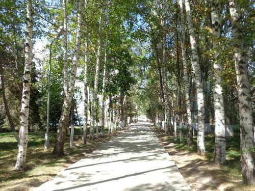 Hostal Guest House At Do Altyn - Kum