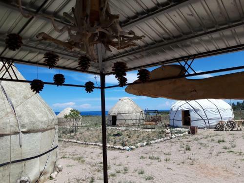 Yurt Camp Sonun