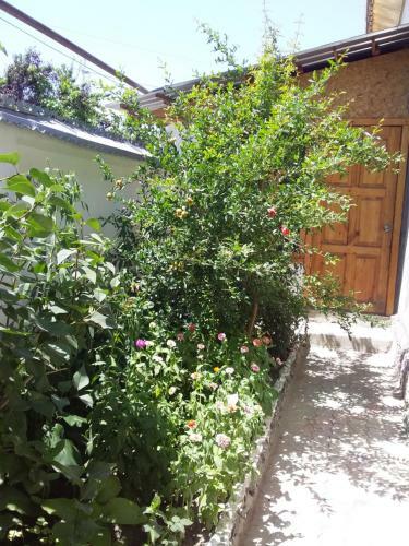 Hostal Lovely Home For You