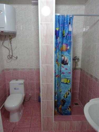 Hotel Almaz