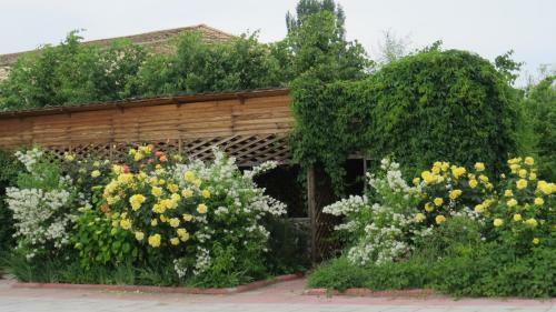 Apartments Natali Resort