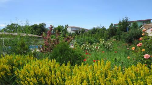 Apartments Natali Resort