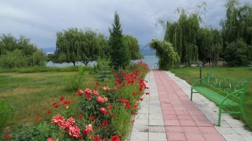Apartments Natali Resort