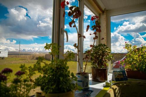 Hostal Pamirextreme-shamurat