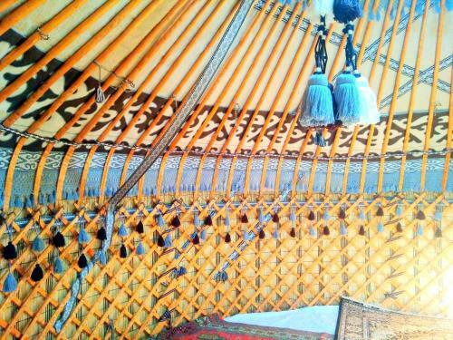 Yurt Camp Meiman Ordo