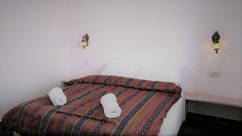 Petra Bedouin Bed And Breakfast