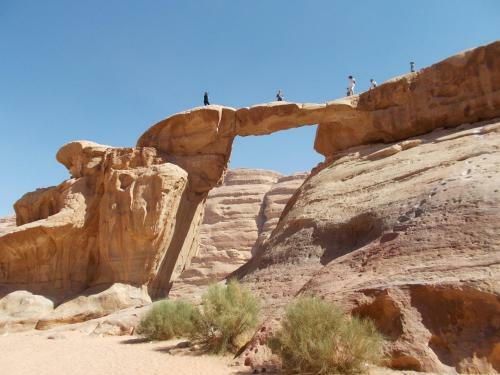 Wadi Rum Green Desert