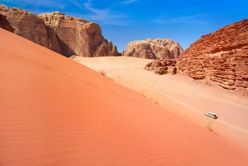 Wadi Rum Green Desert