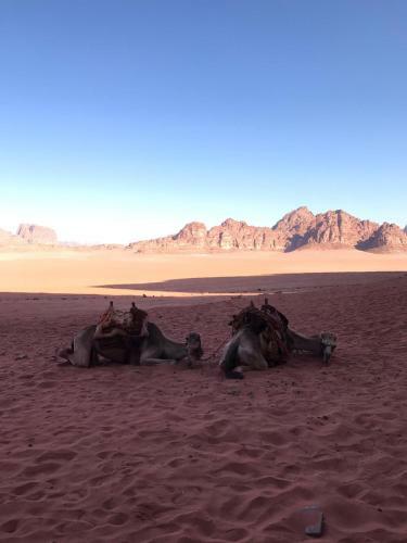Golden Sands Camp