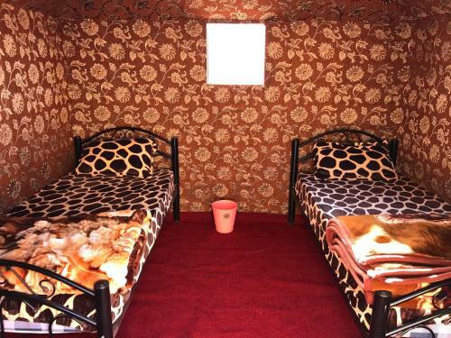 Nights With Bedouin & Jeep Tours
