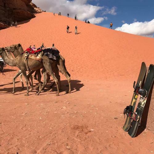 Desert Sunset & Tour