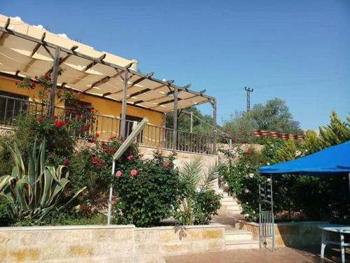 Agroturismo Country House Farm