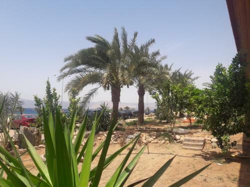 Hotel Darna Divers Village