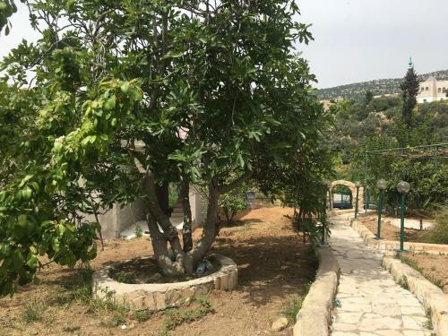 Apartamento Arjan Waterfall House