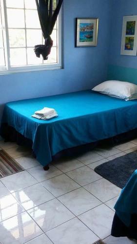 Hostal Tropical Breeze Villa