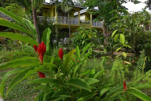 Hotel Merrils Beach Resorts Lll