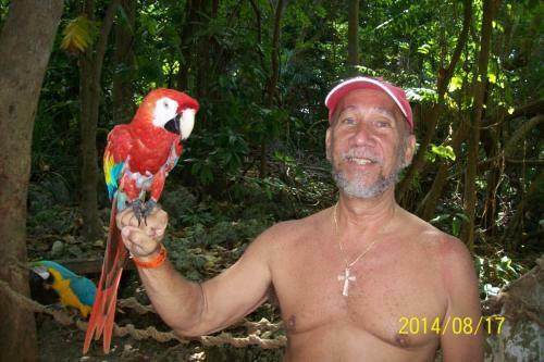 Bed & Breakfast Wataview