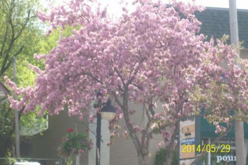 Bed & Breakfast Wataview