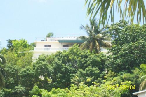 Bed & Breakfast Wataview