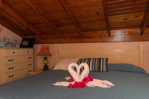 Apartamento Crissanns Tropical Suite