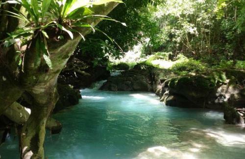 Apartamento Ocho Rios Condo