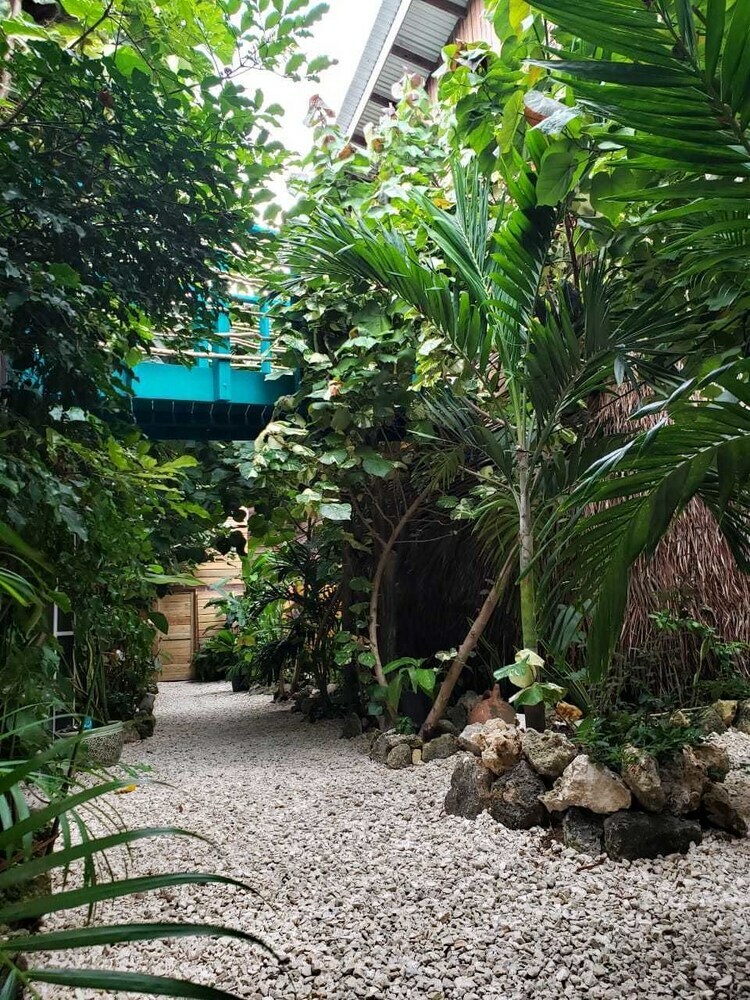 Hotel Wild Coffee Retreat