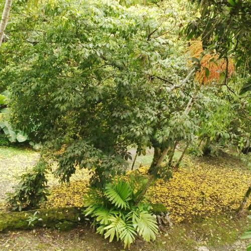 Agroturismo Lejartre's Retreat