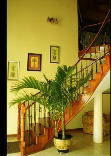 Albergue Mountain Top Villa