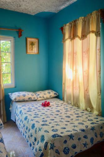 Bed & Breakfast Coral Cottage Jamaica