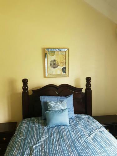 Coolshade Villa Mahoe III Ocho Rios
