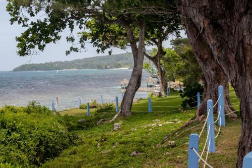 Apartamento Carib Ocho Rios Fedlyn